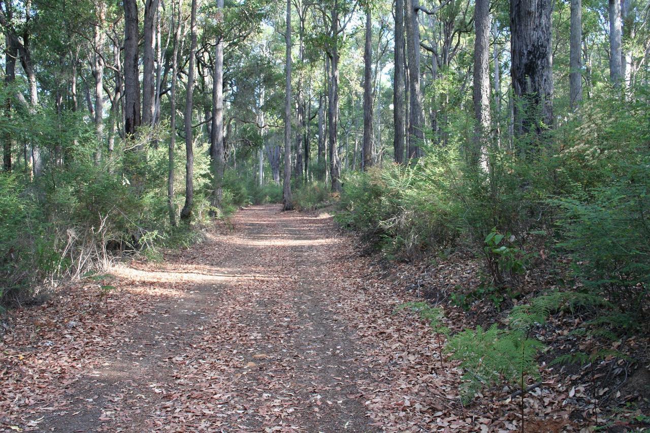 Wellington Forest Cottages Ngoại thất bức ảnh