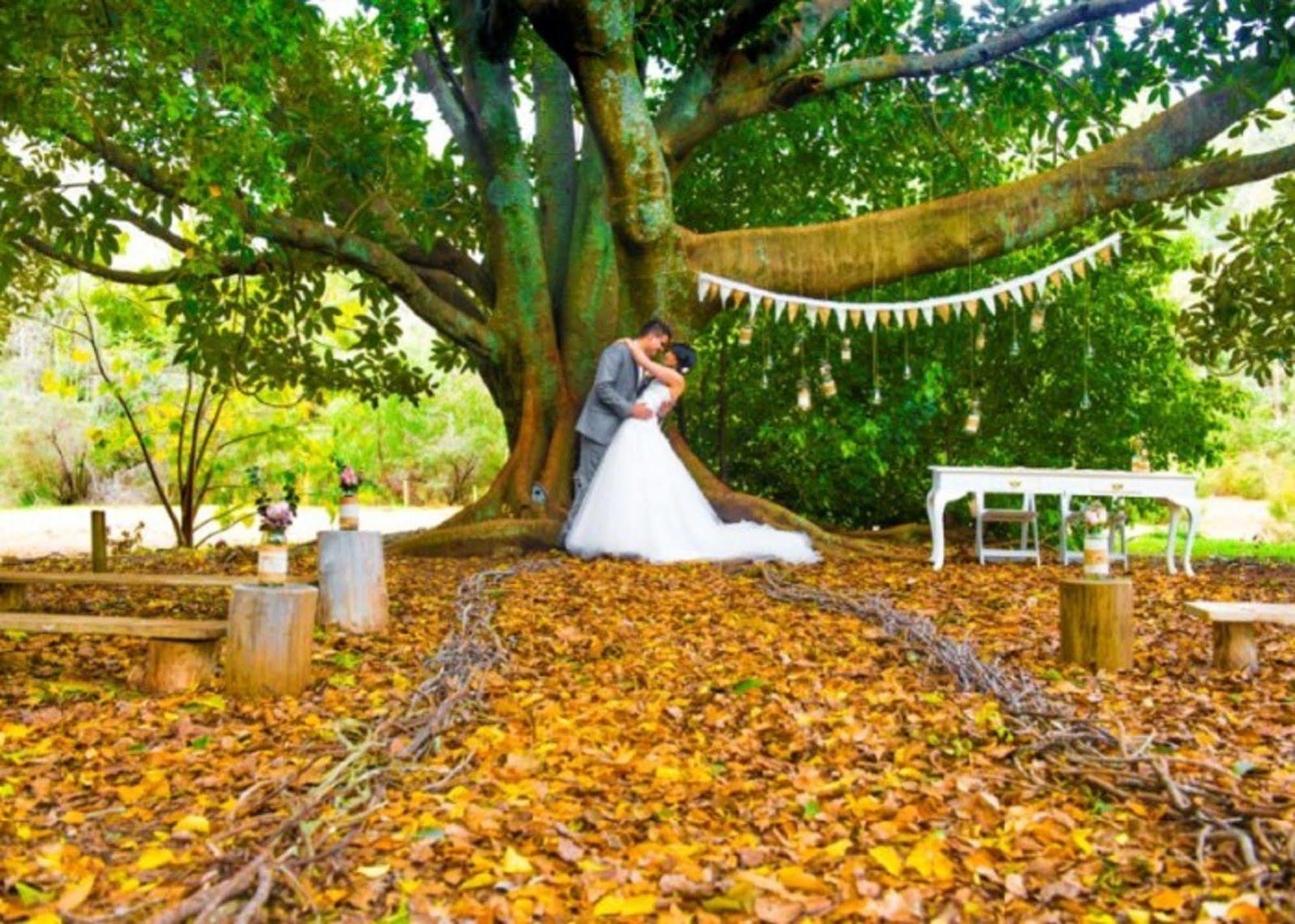Wellington Forest Cottages Ngoại thất bức ảnh